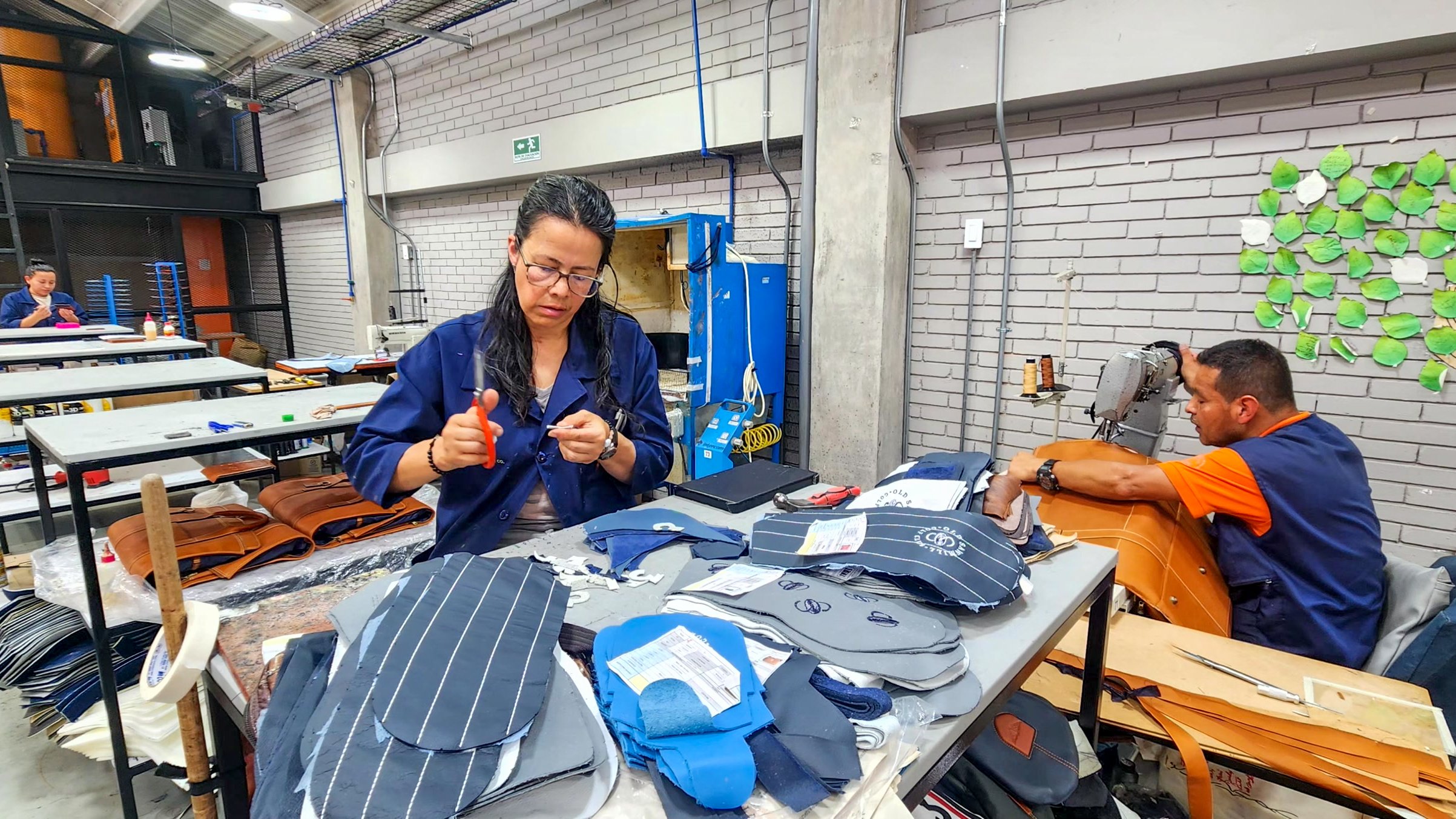 Copy of 20241030_110509